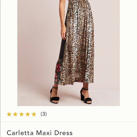 Anthropologie Carletta Maxi Dress - Picture 3 of 5